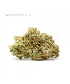 Green Crack | Sativa